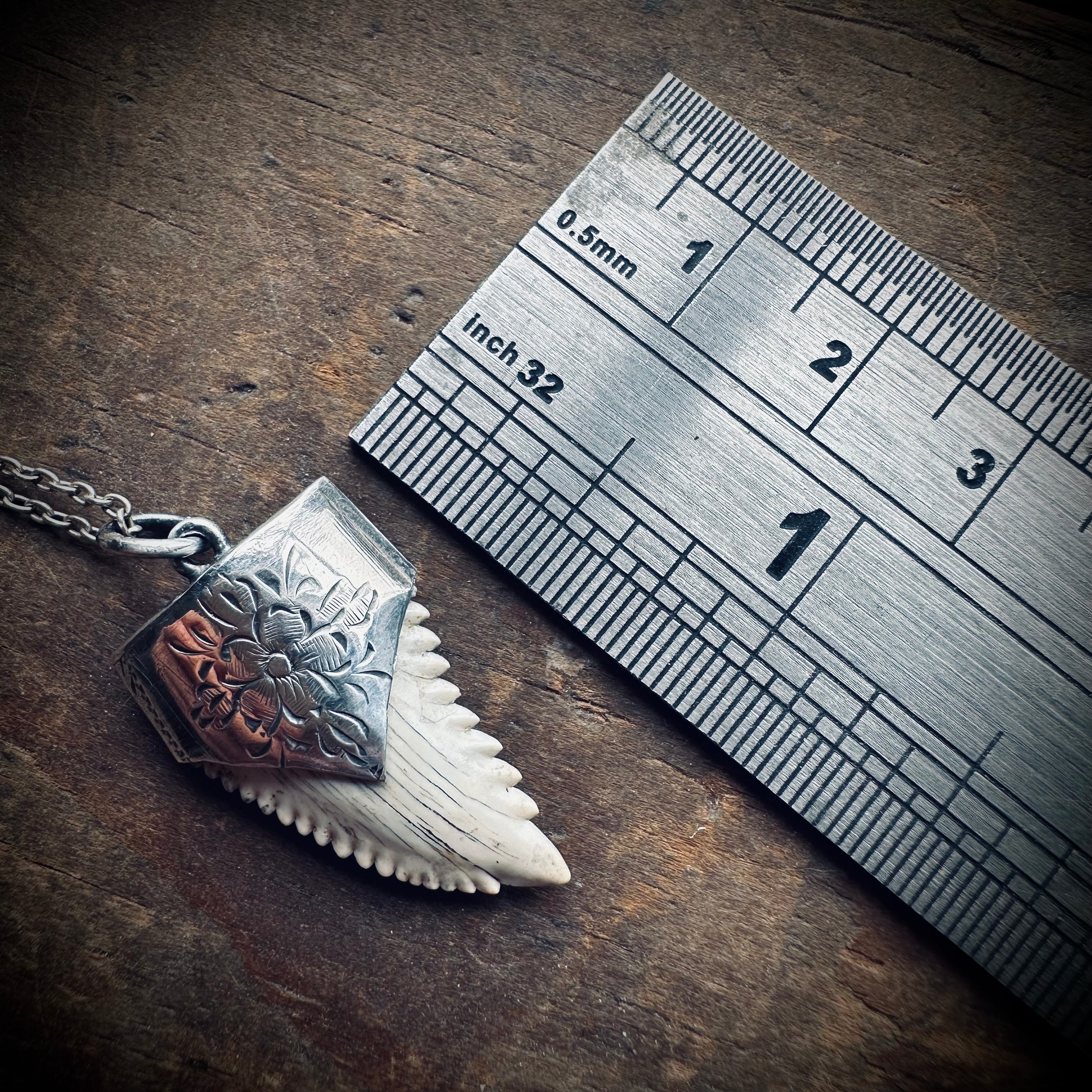 Fossilised shark tooth necklace in hallmarked sterling silver with 23” chain