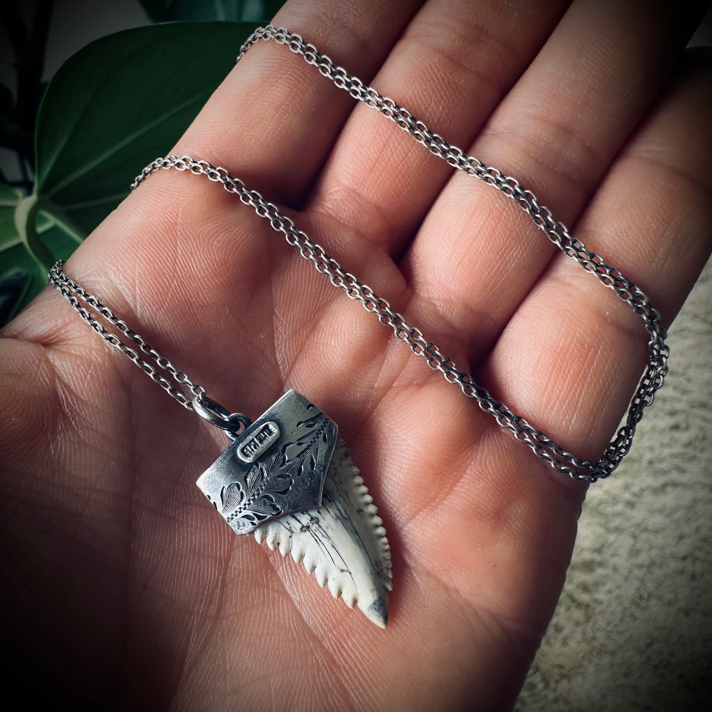 Fossilised shark tooth necklace in hallmarked sterling silver with 23” chain
