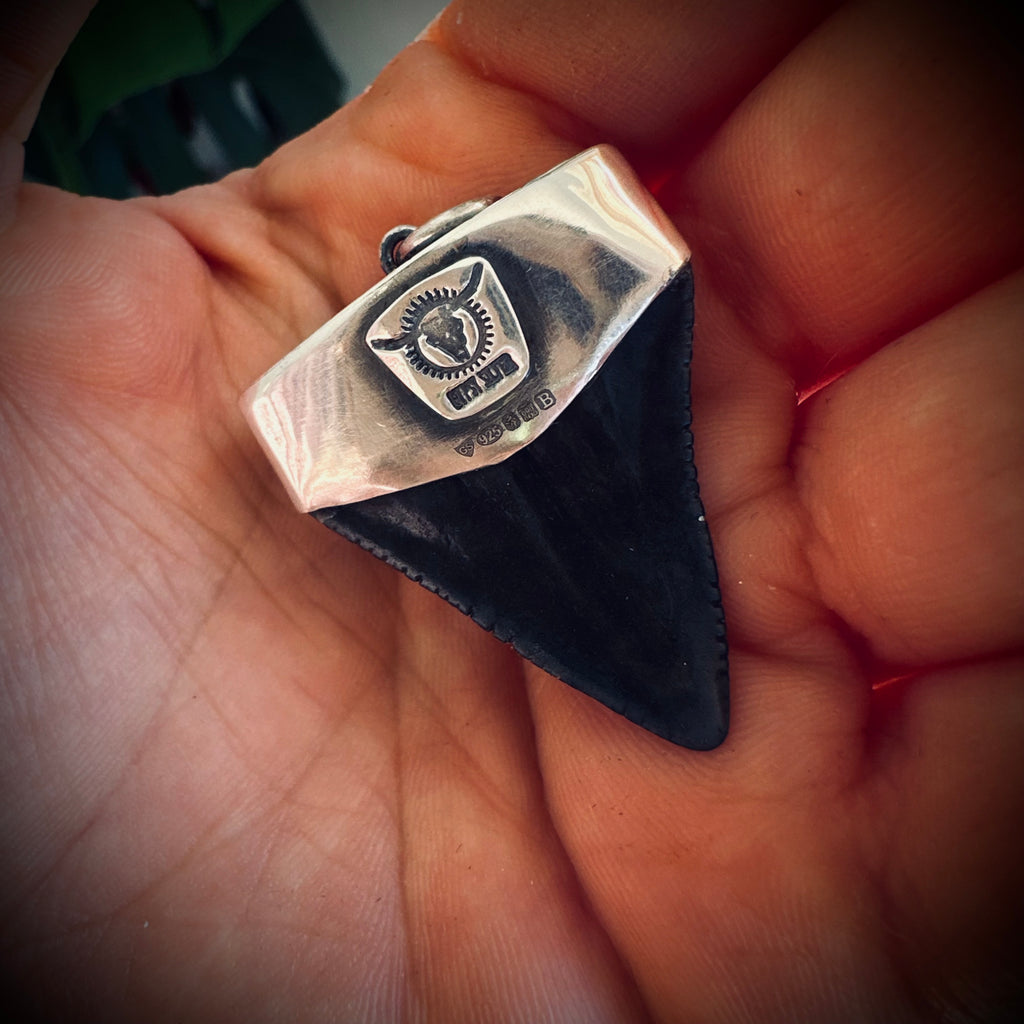 Sterling silver hallmarked fossil shark tooth pendant with turquoise