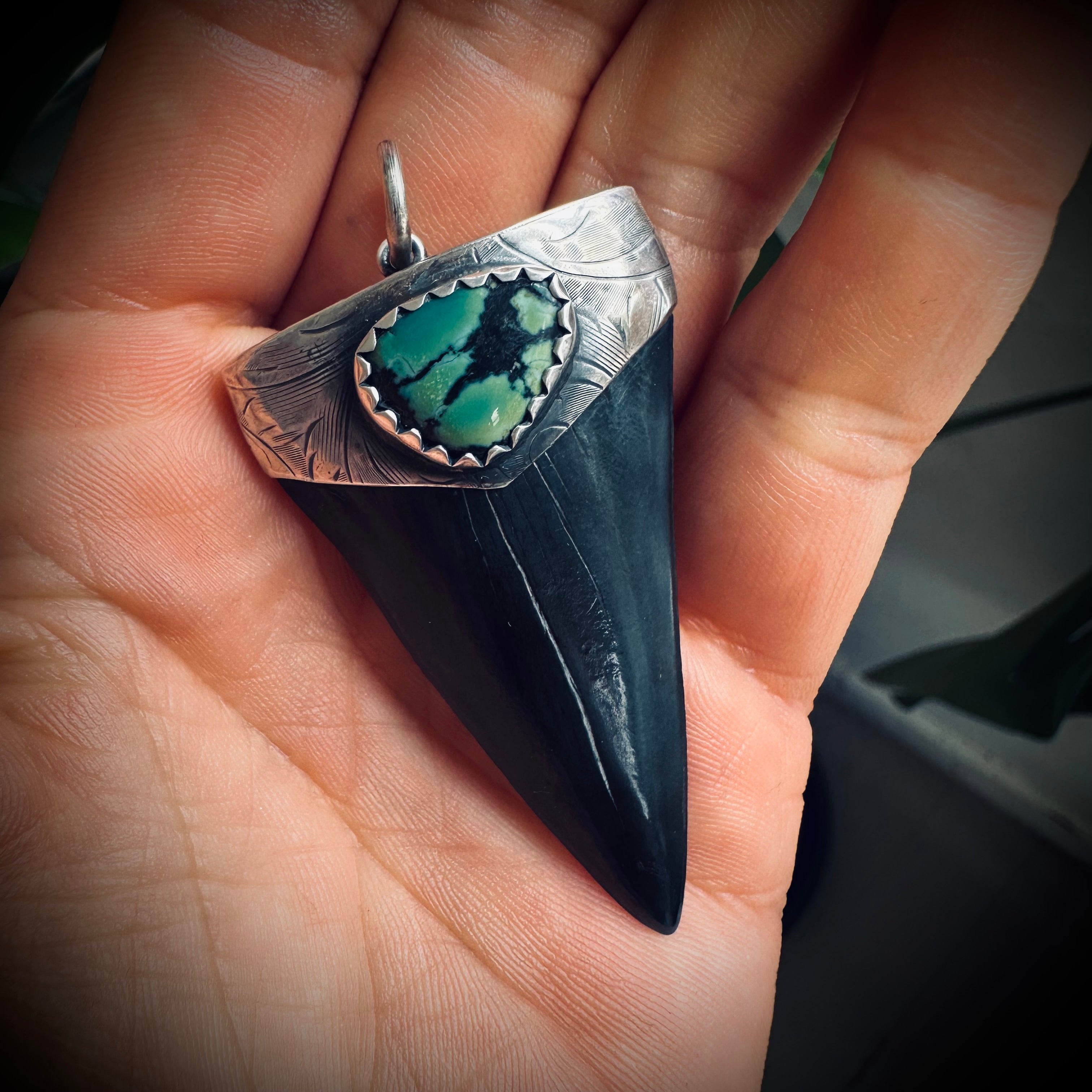 Fossilised shark tooth pendant in engraved hallmarked sterling silver