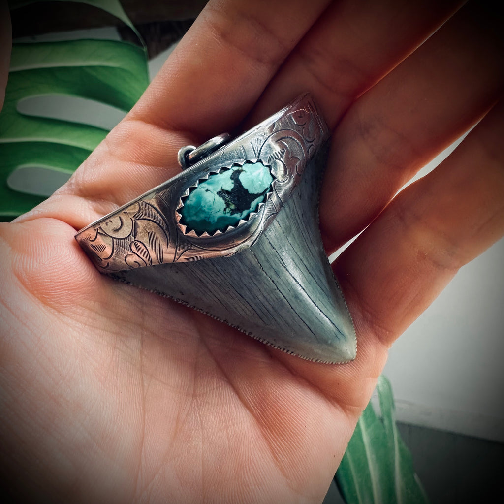 Large fossilised shark tooth pendant in hallmarked sterling silver with turquoise