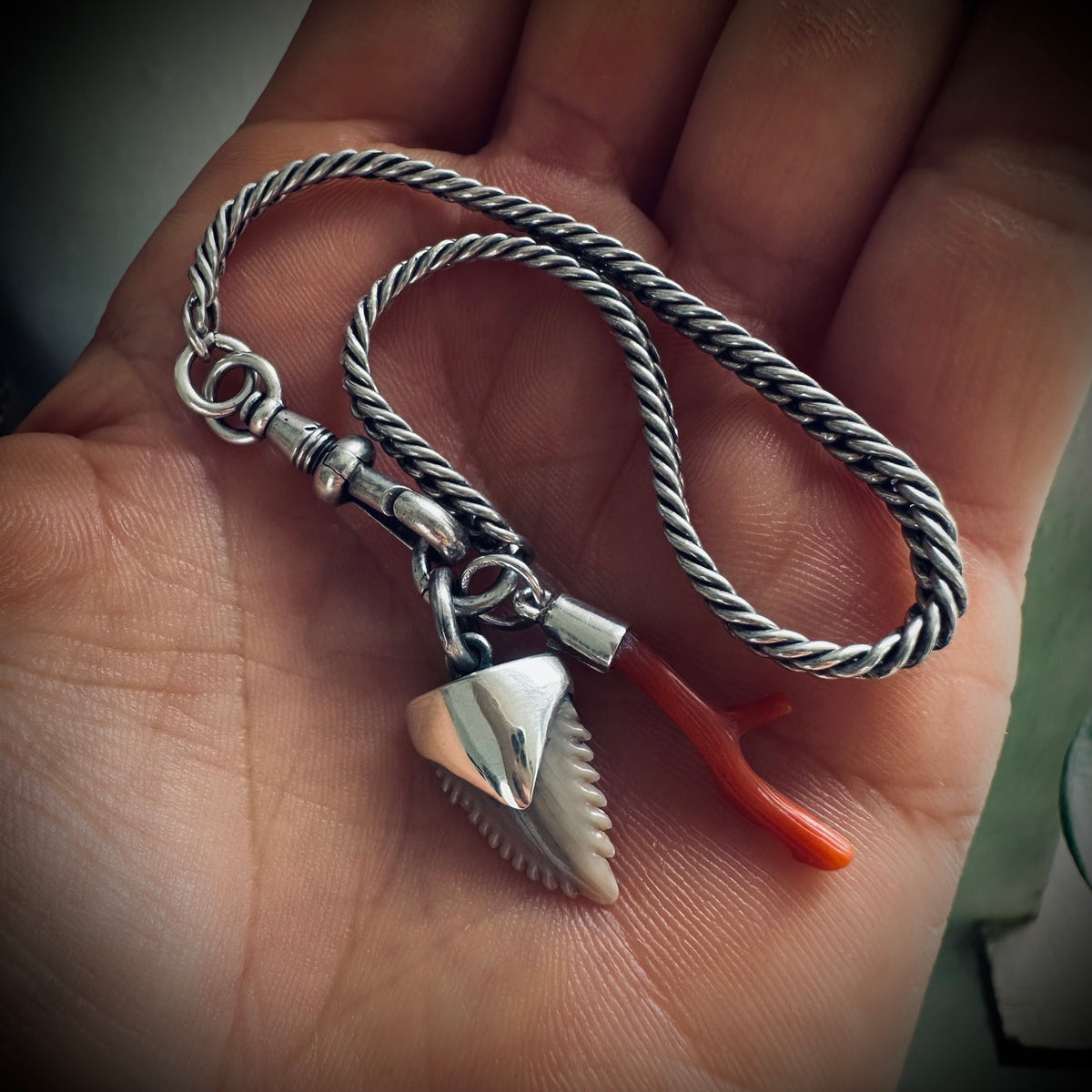 7” Antique sterling silver guard chain bracelet with Albert clip, fossil shark tooth and coral