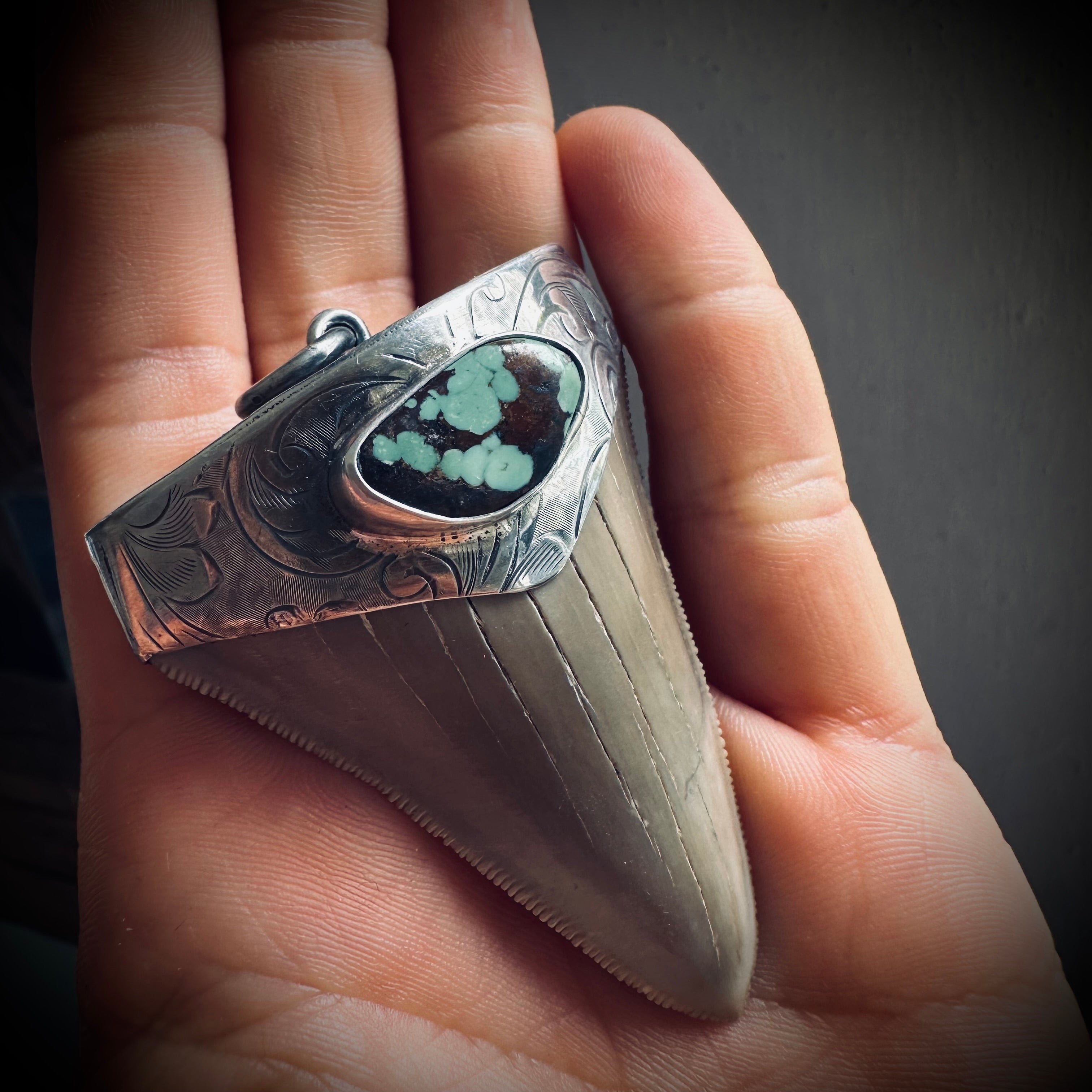 Fossilised shark tooth pendant in engraved hallmarked sterling silver