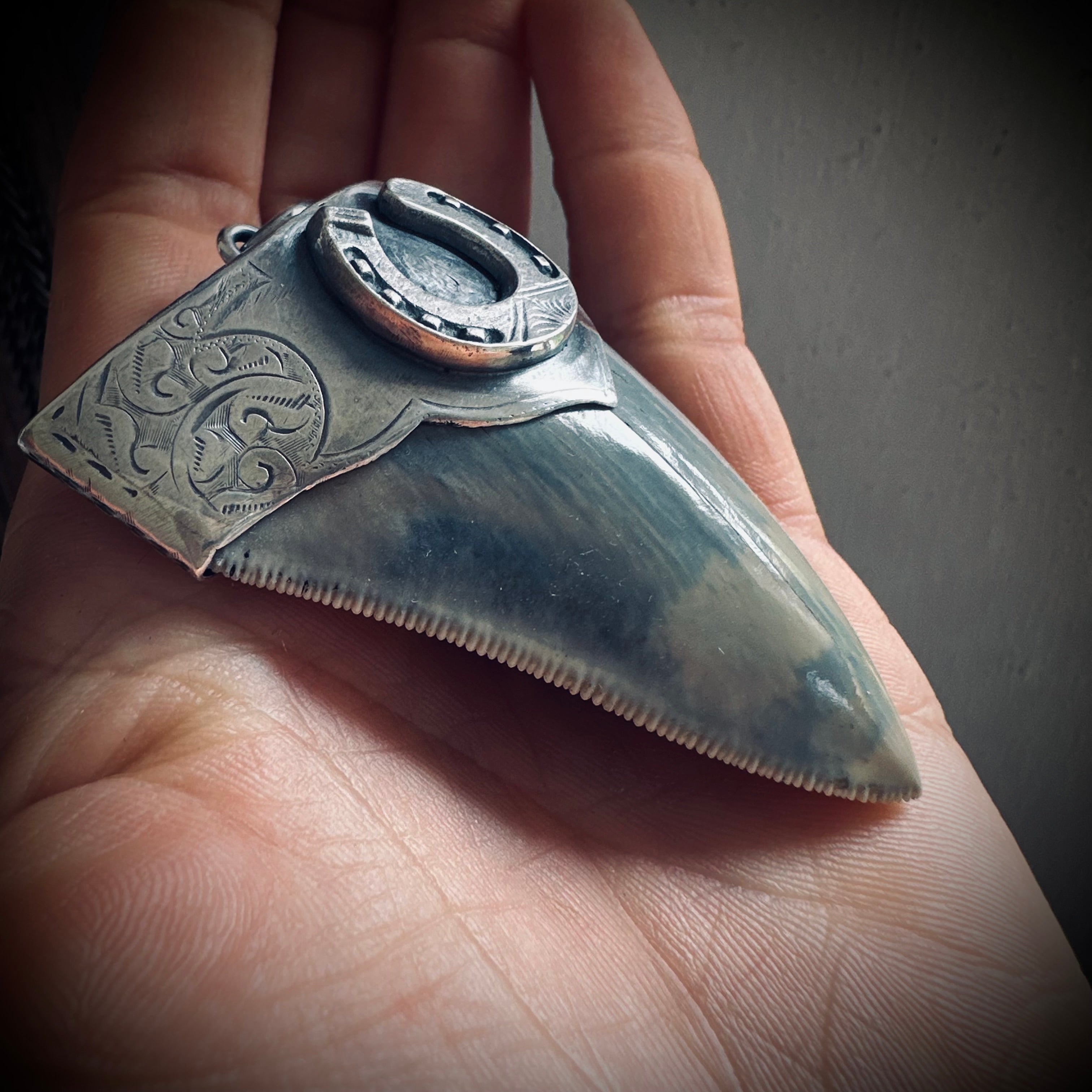 XL Fossilised shark tooth pendant in engraved hallmarked sterling silver