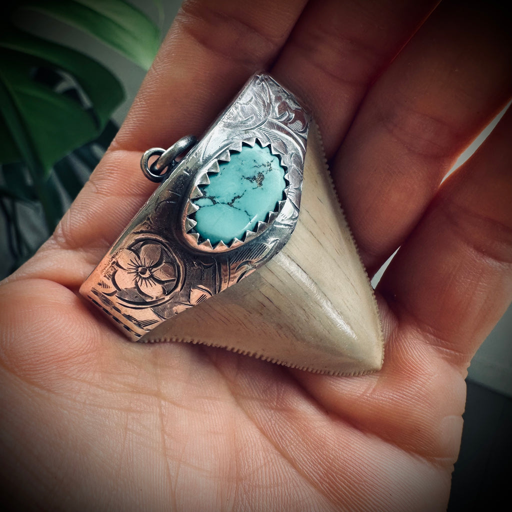 Large fossilised shark tooth pendant in hallmarked sterling silver with turquoise