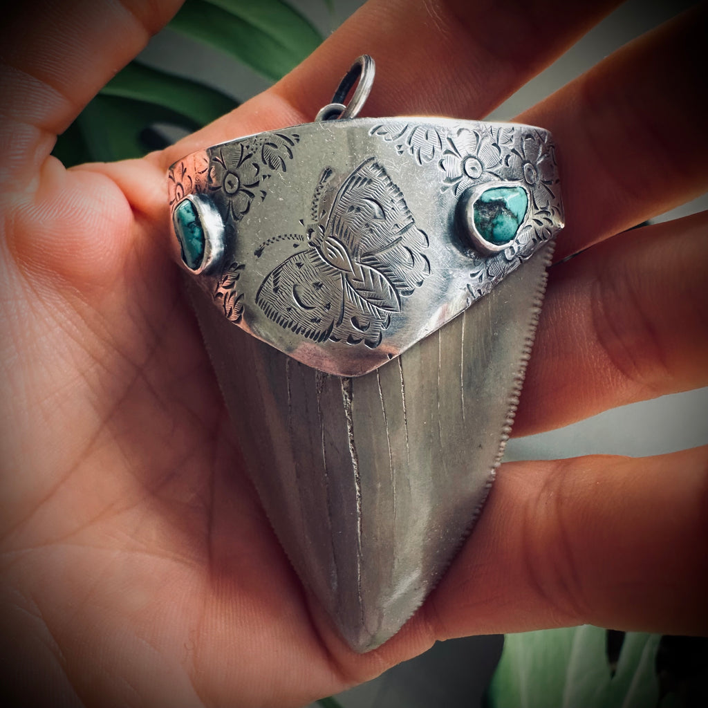 Fossilised shark tooth pendant in engraved hallmarked sterling silver