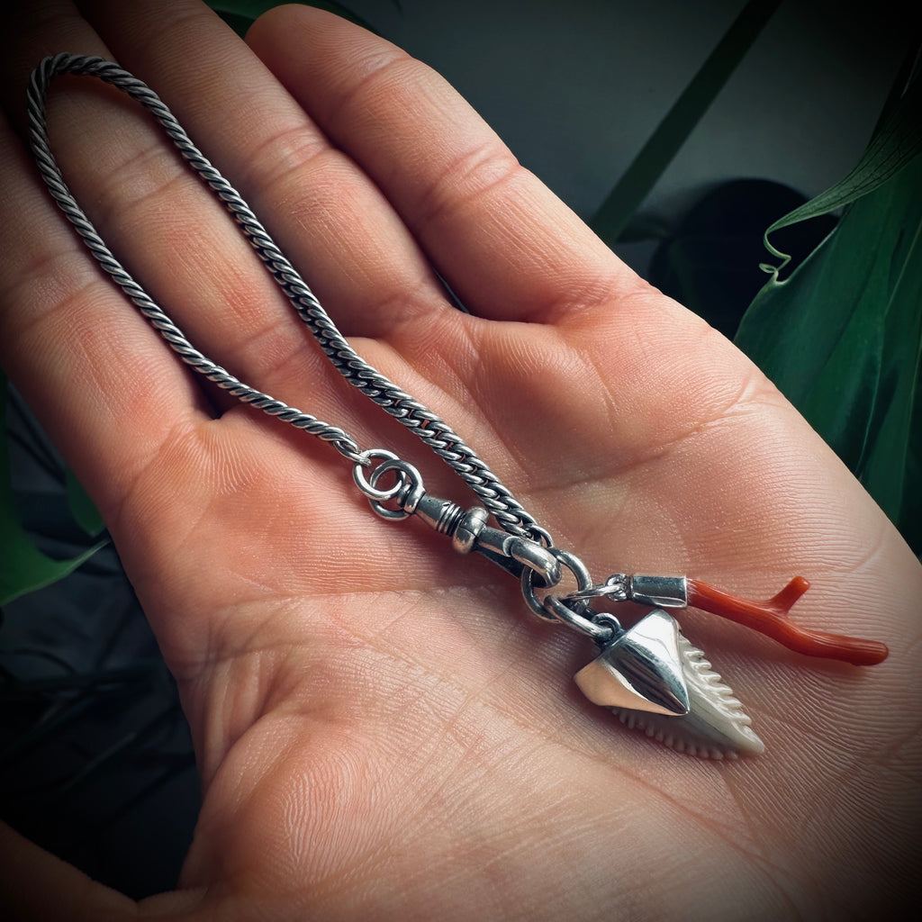 7” Antique sterling silver guard chain bracelet with Albert clip, fossil shark tooth and coral