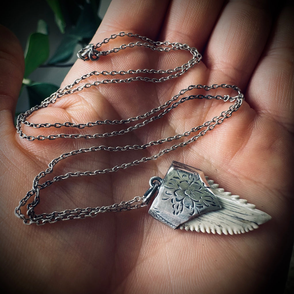 Fossilised shark tooth necklace in hallmarked sterling silver with 23” chain