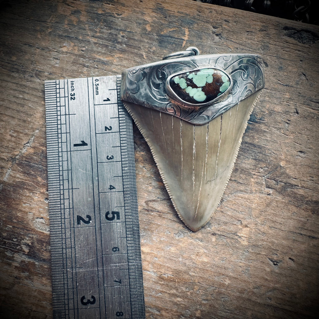 Fossilised shark tooth pendant in engraved hallmarked sterling silver