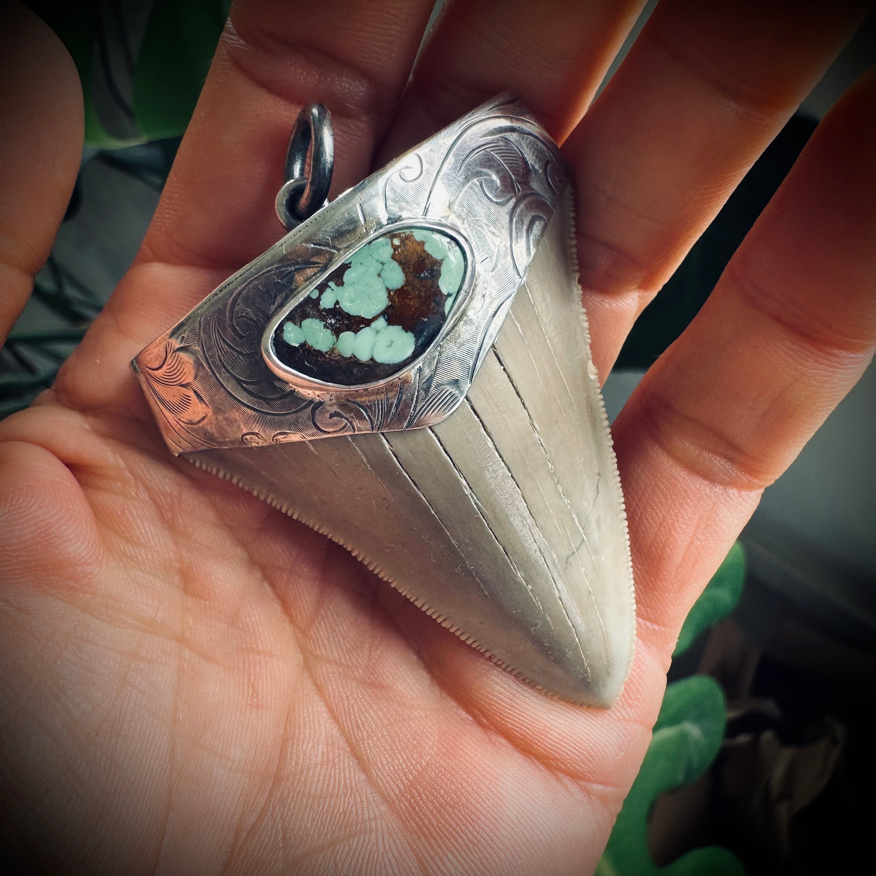 Fossilised shark tooth pendant in engraved hallmarked sterling silver