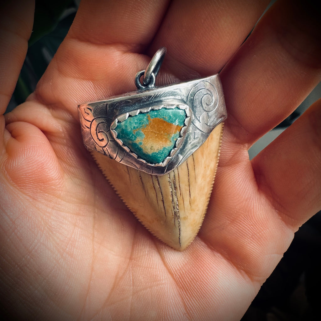 Fossilised shark tooth pendant in engraved hallmarked sterling silver