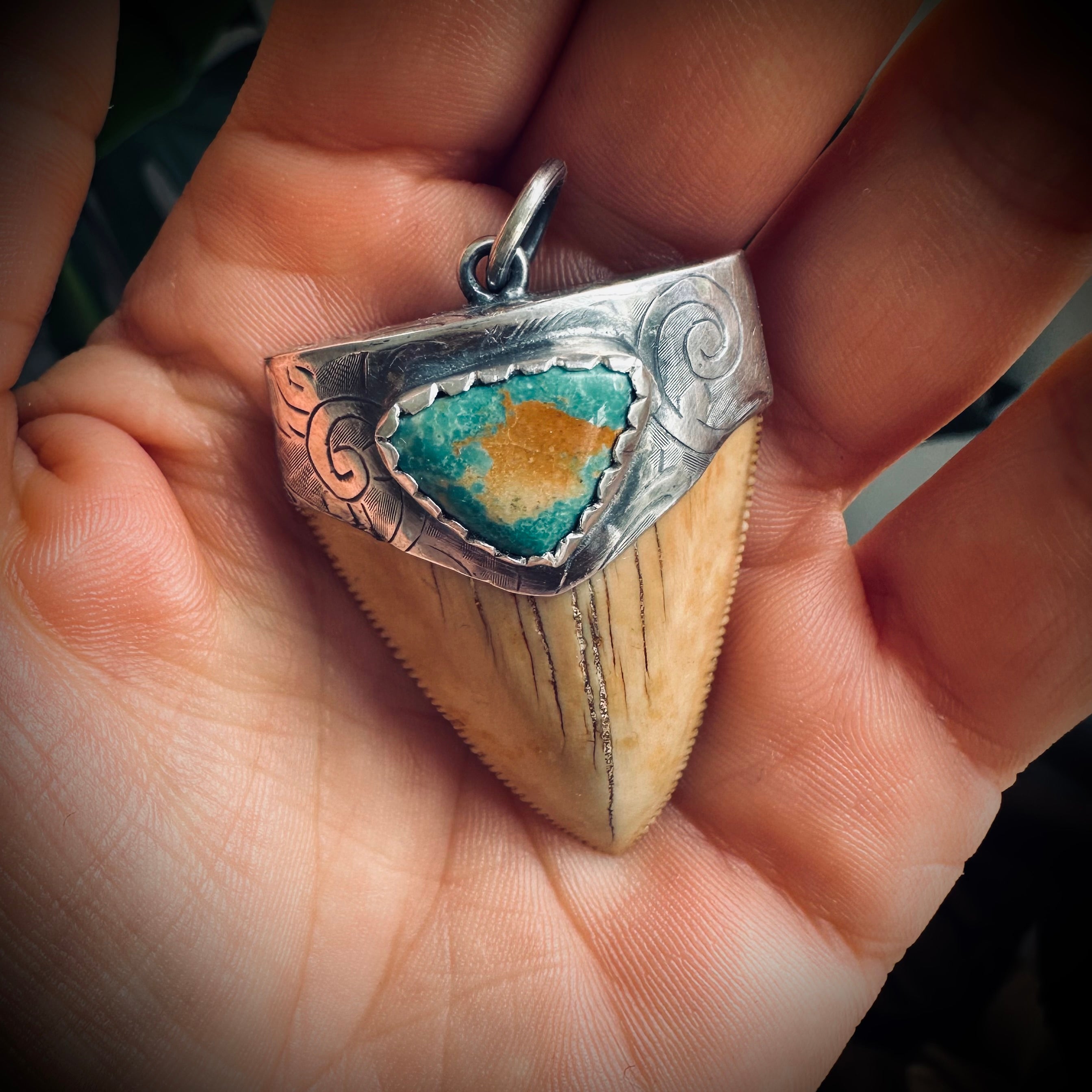 Fossilised shark tooth pendant in engraved hallmarked sterling silver