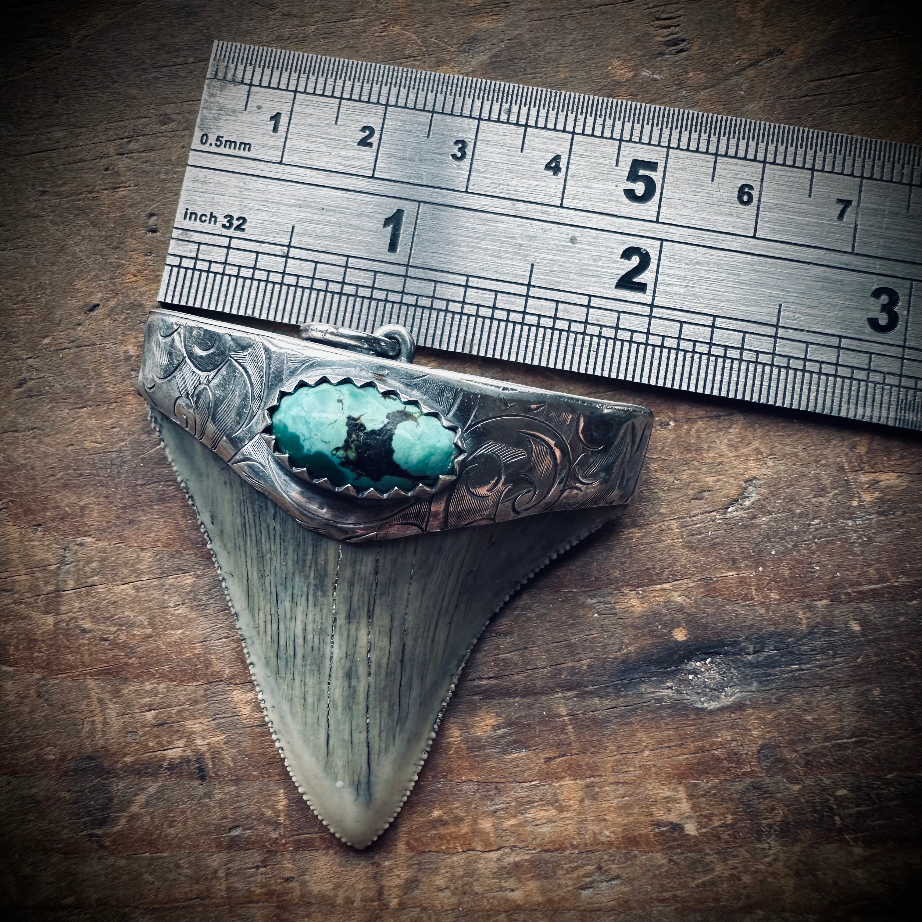 Large fossilised shark tooth pendant in hallmarked sterling silver with turquoise