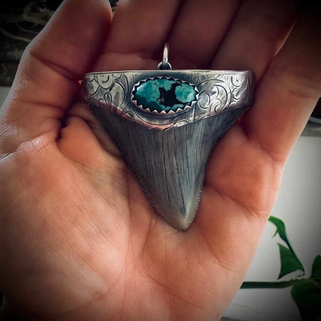 Large fossilised shark tooth pendant in hallmarked sterling silver with turquoise