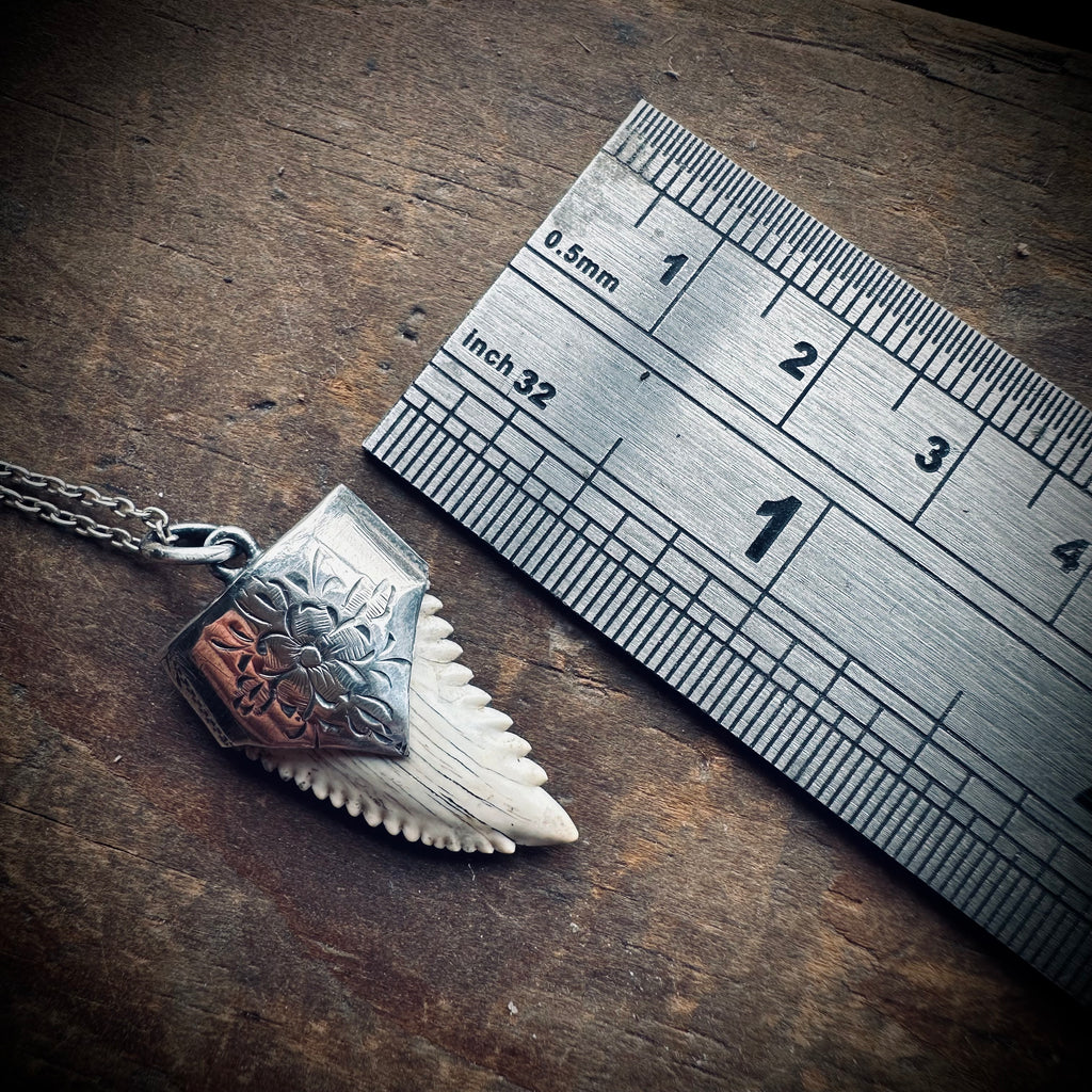 Fossilised shark tooth necklace in hallmarked sterling silver with 23” chain