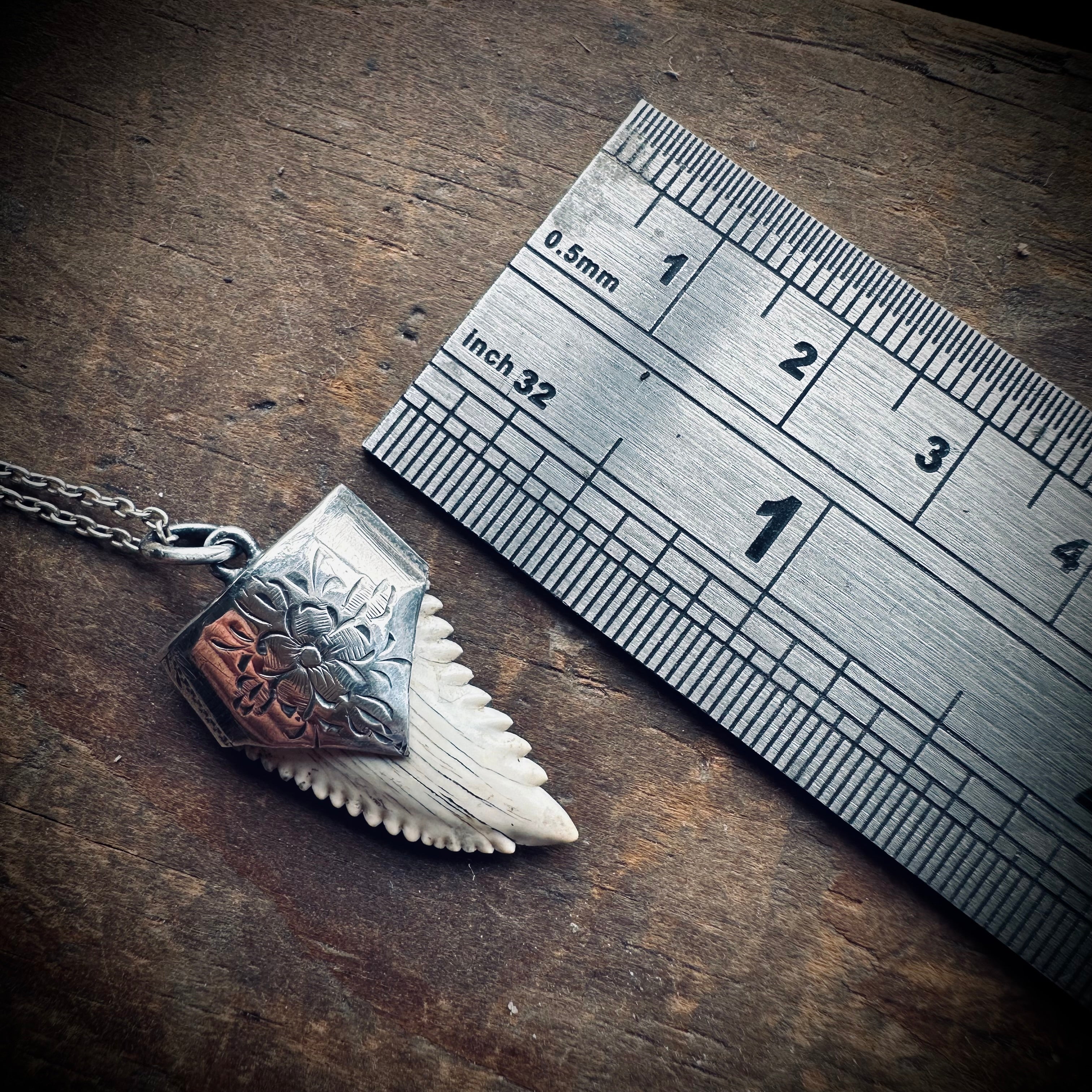 Fossilised shark tooth necklace in hallmarked sterling silver with 23” chain