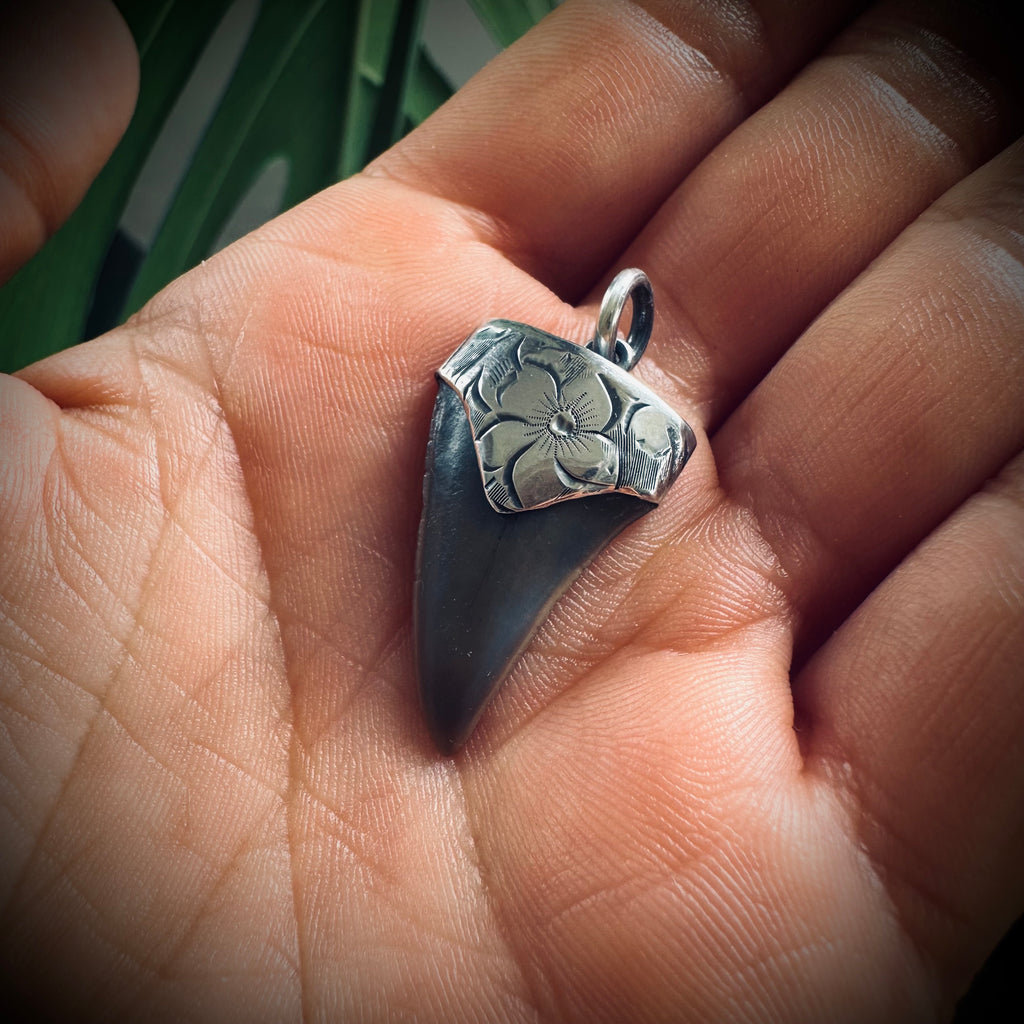 Fossilised shark tooth pendant in engraved hallmarked sterling silver