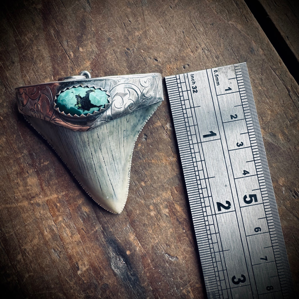 Large fossilised shark tooth pendant in hallmarked sterling silver with turquoise