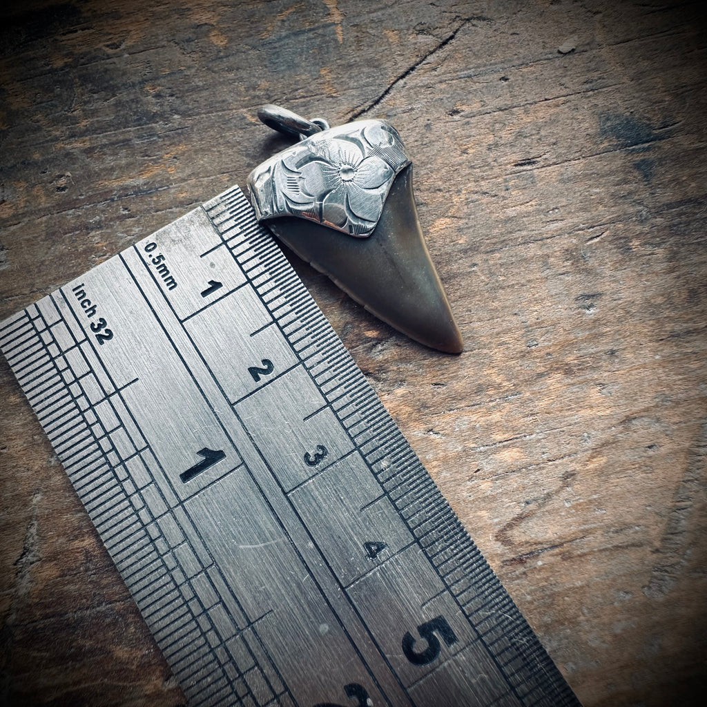 Fossilised shark tooth pendant in engraved hallmarked sterling silver