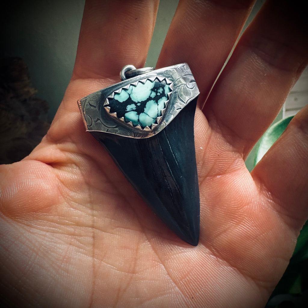 Sterling silver hallmarked fossilised shark tooth pendant with turquoise