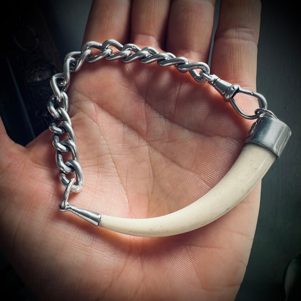 8.5” handmade sterling chain and bone “tusk” bracelet with Albert clip