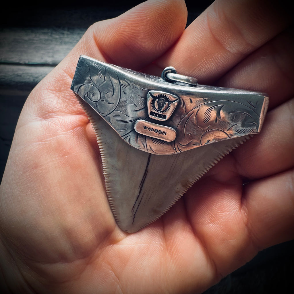 Sterling silver hallmarked fossil shark tooth pendant with turquoise