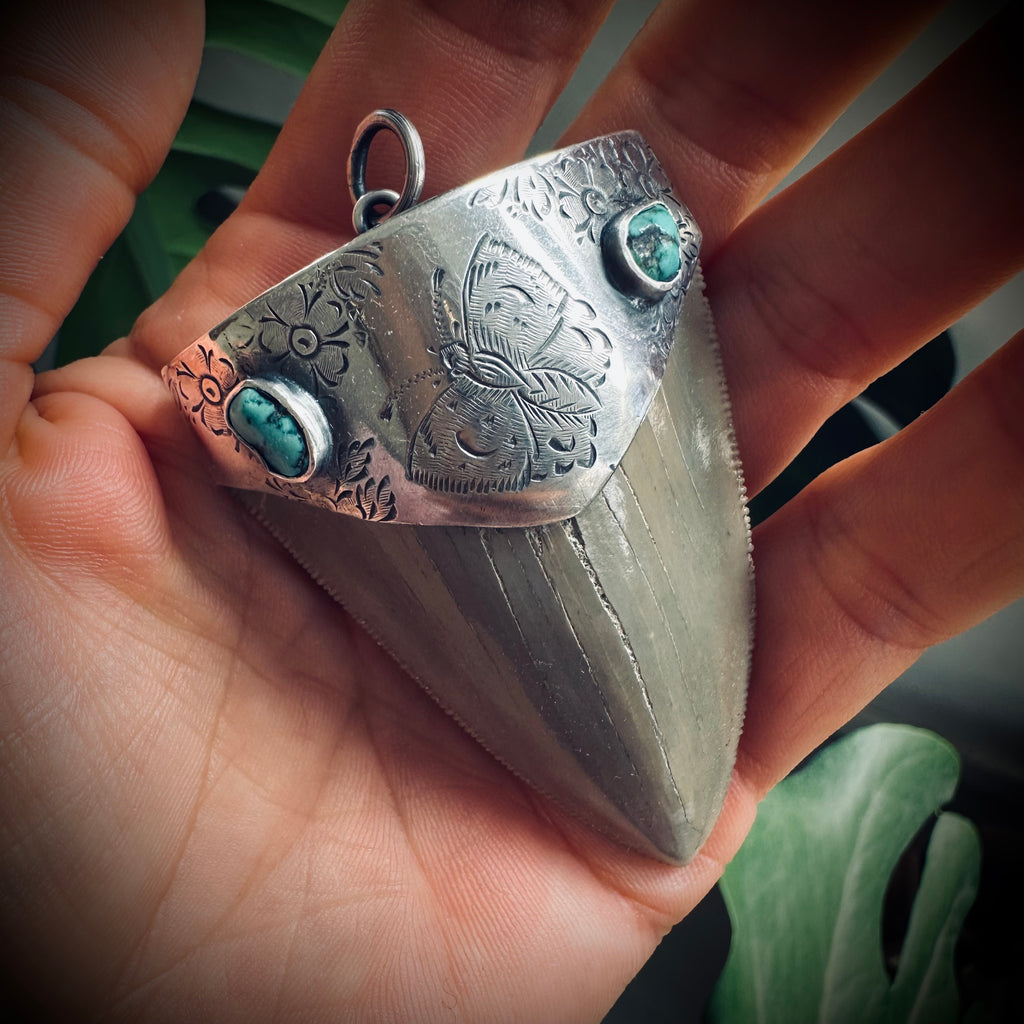 Fossilised shark tooth pendant in engraved hallmarked sterling silver