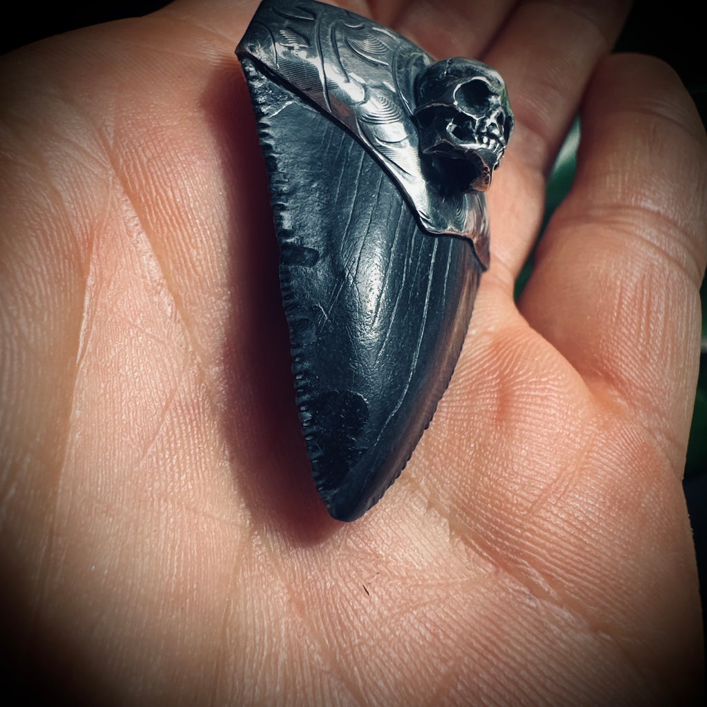 Sterling silver hallmarked fossilised shark tooth pendant