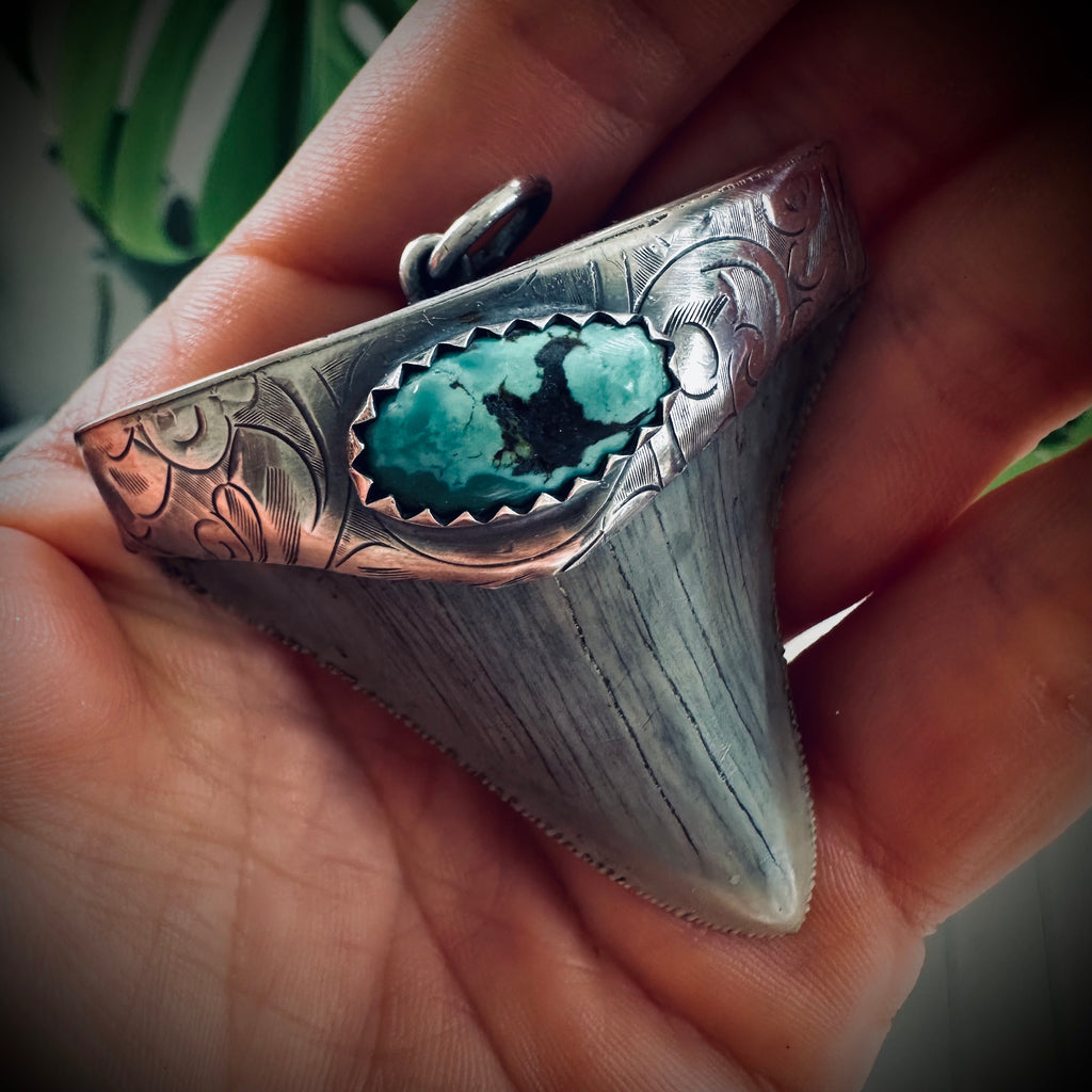 Large fossilised shark tooth pendant in hallmarked sterling silver with turquoise