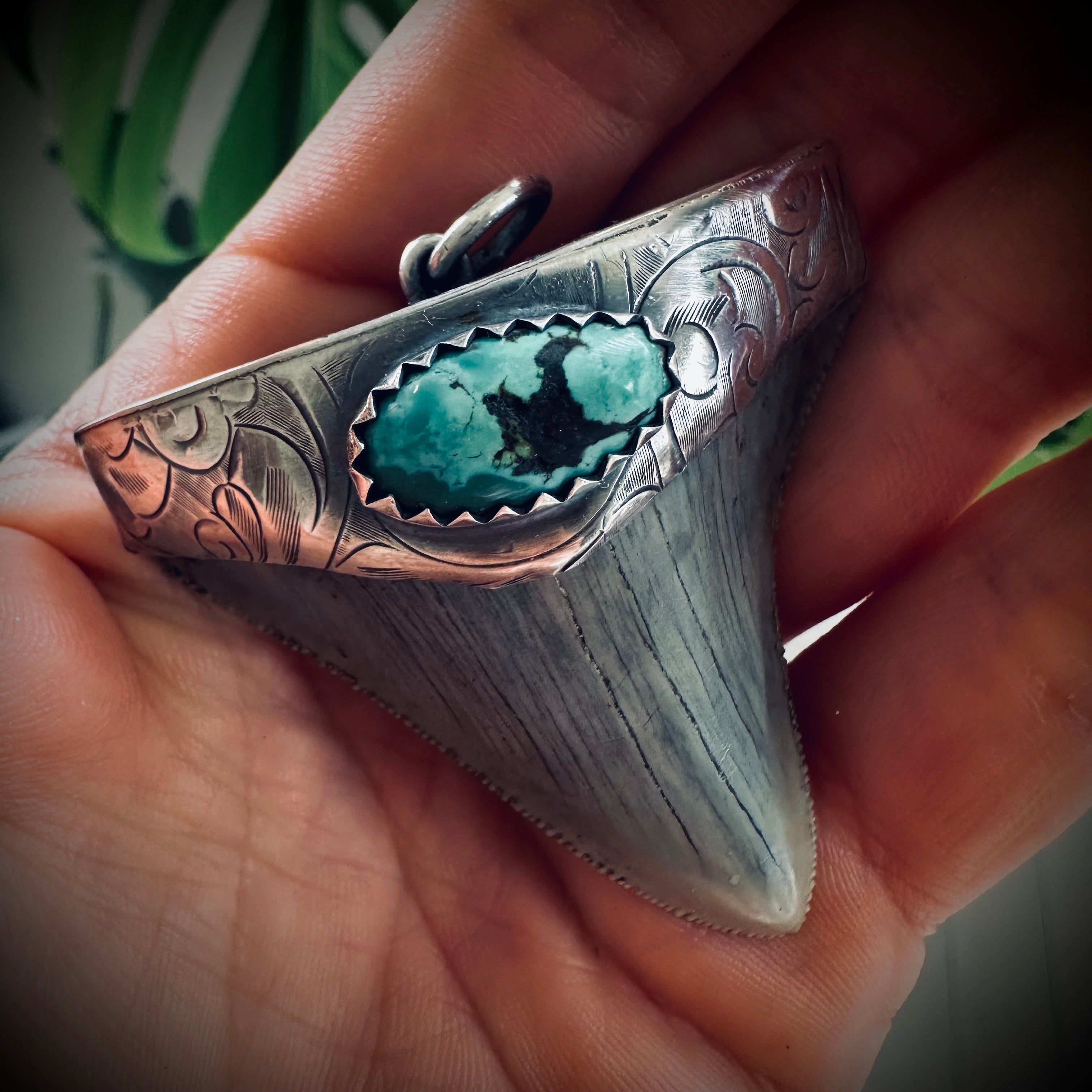Large fossilised shark tooth pendant in hallmarked sterling silver with turquoise