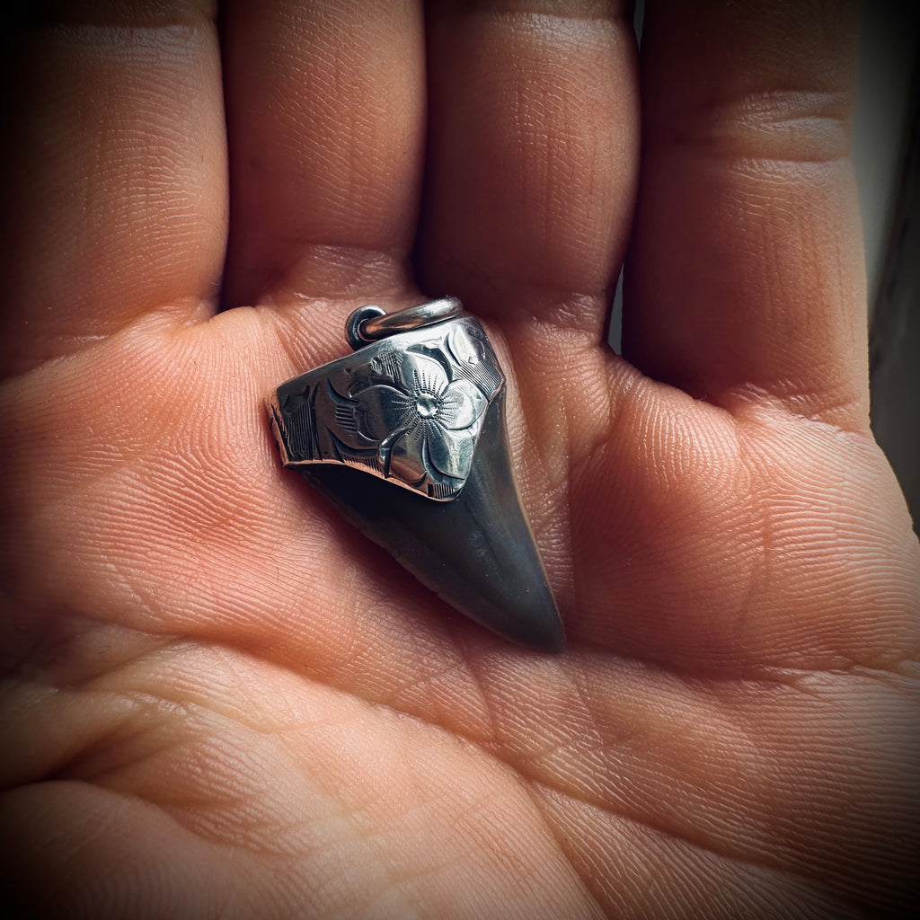 Fossilised shark tooth pendant in engraved hallmarked sterling silver