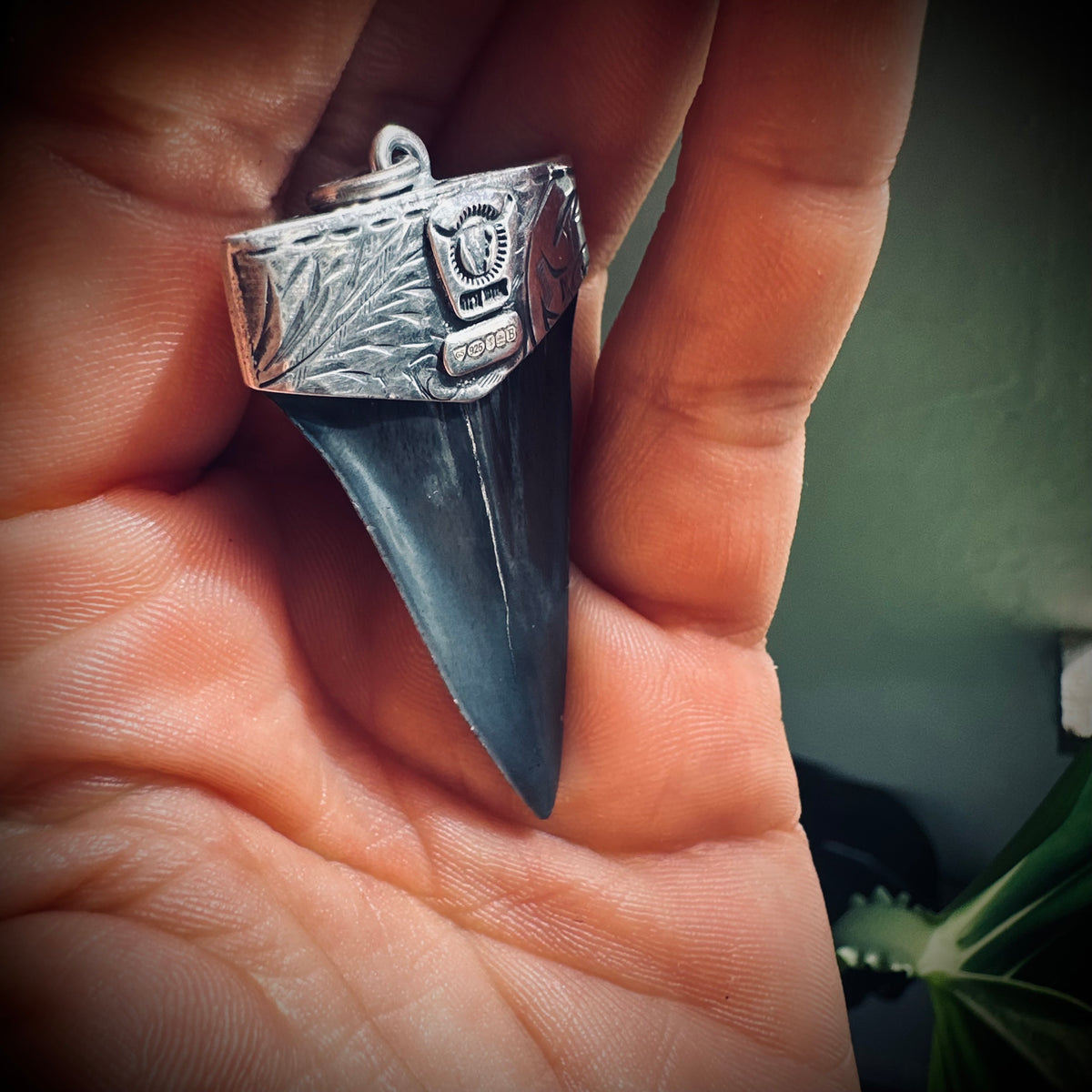 Sterling silver hallmarked fossilised shark tooth pendant with turquoise