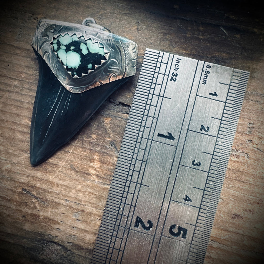 Sterling silver hallmarked fossilised shark tooth pendant with turquoise