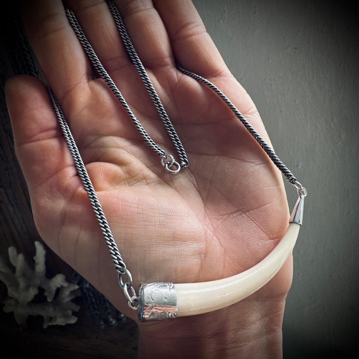 2.5” bone “tusk” on 16” antique guard chain in sterling silver