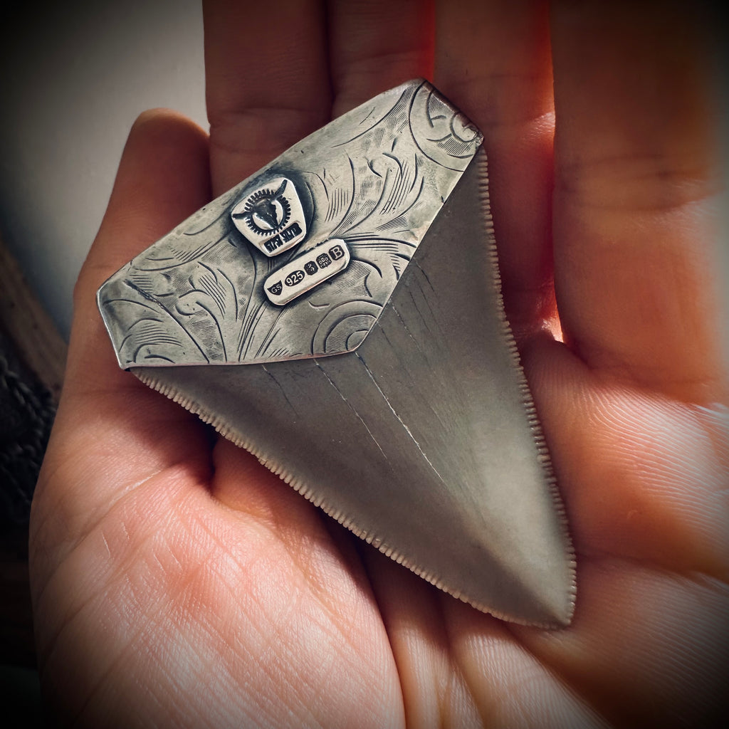 Fossilised shark tooth pendant in engraved hallmarked sterling silver