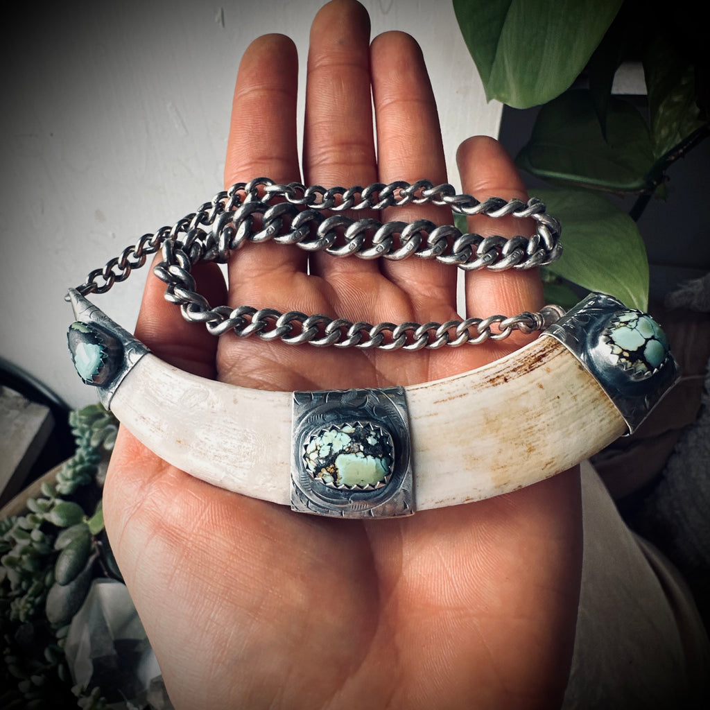 4.5” boars tusk with turquoise on 12.5” antique sterling silver Albert chain
