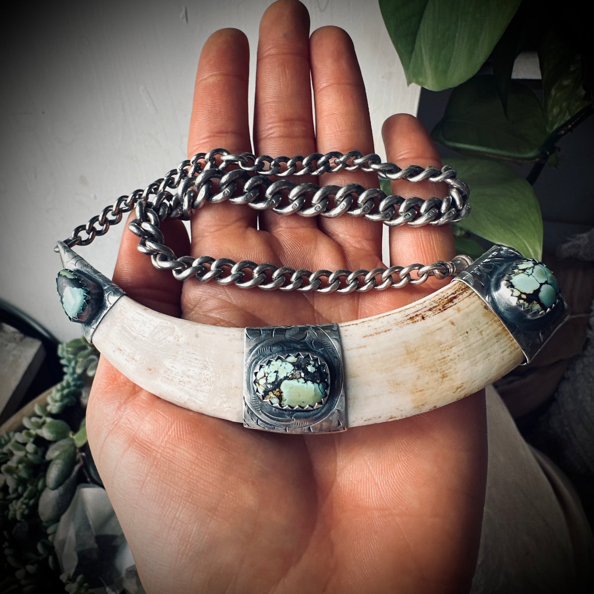 4.5” boars tusk with turquoise on 12.5” antique sterling silver Albert chain