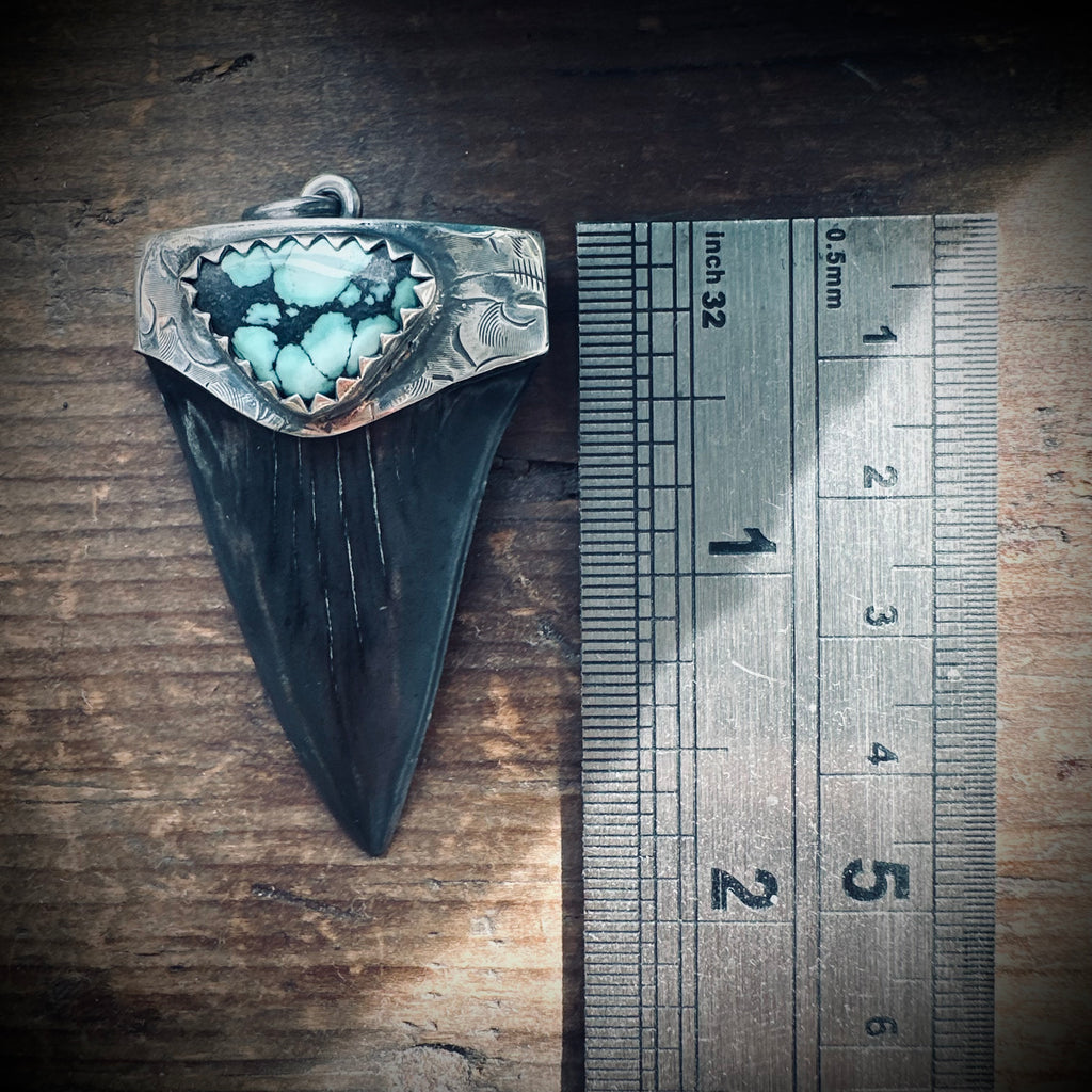 Sterling silver hallmarked fossilised shark tooth pendant with turquoise
