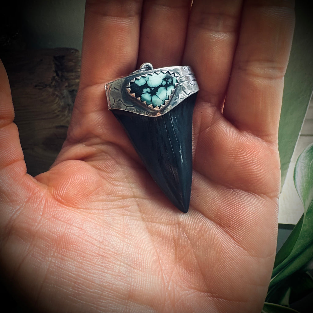Sterling silver hallmarked fossilised shark tooth pendant with turquoise