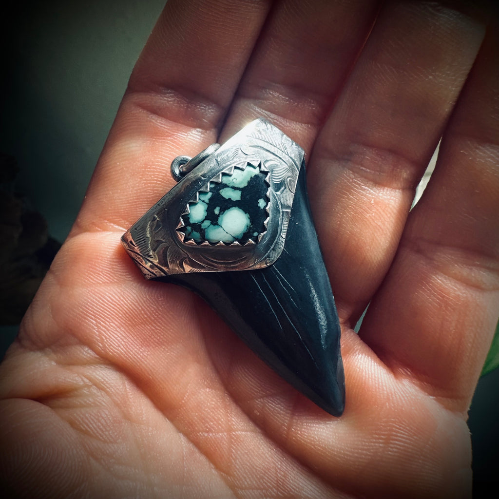 Sterling silver hallmarked fossilised shark tooth pendant with turquoise