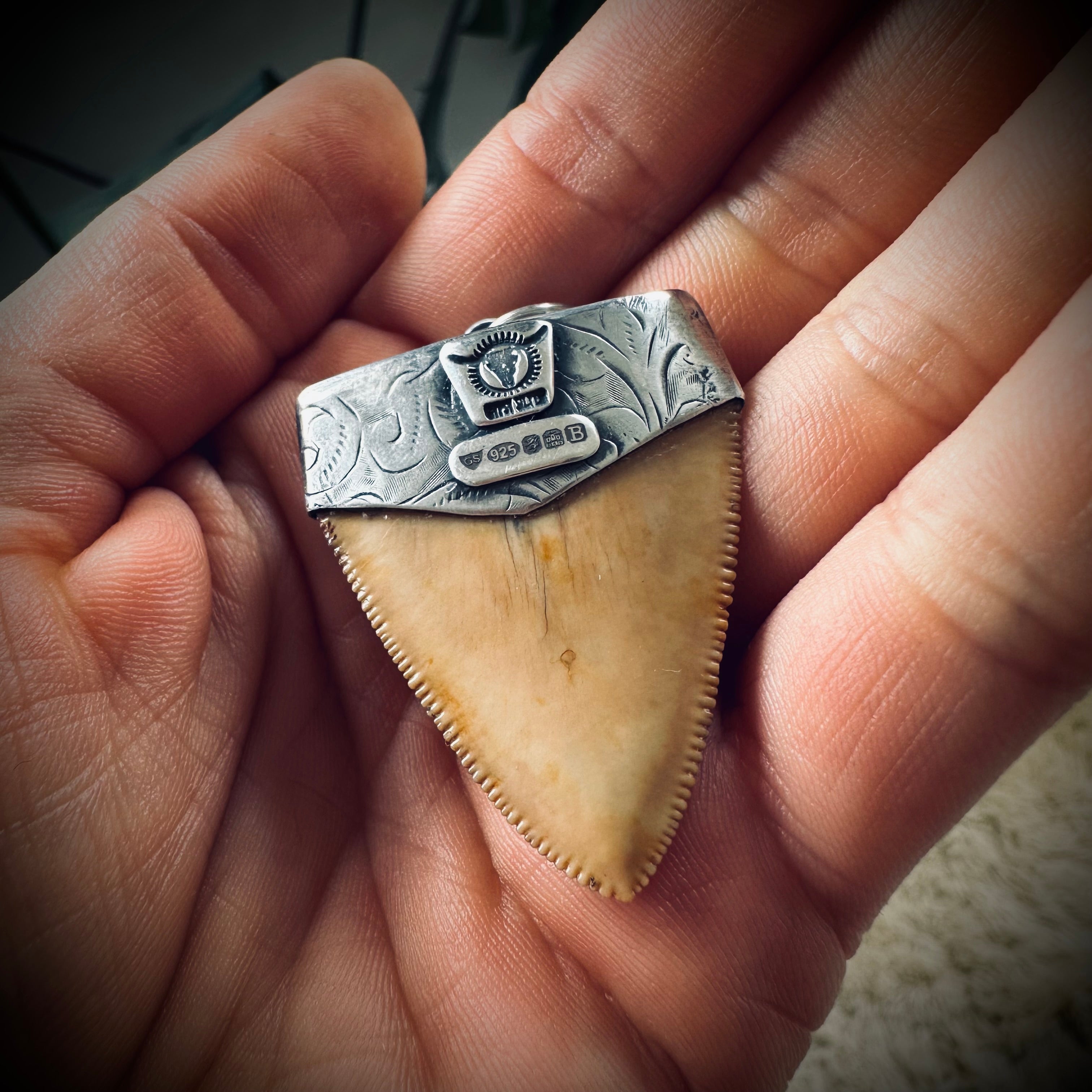 Fossilised shark tooth pendant in engraved hallmarked sterling silver