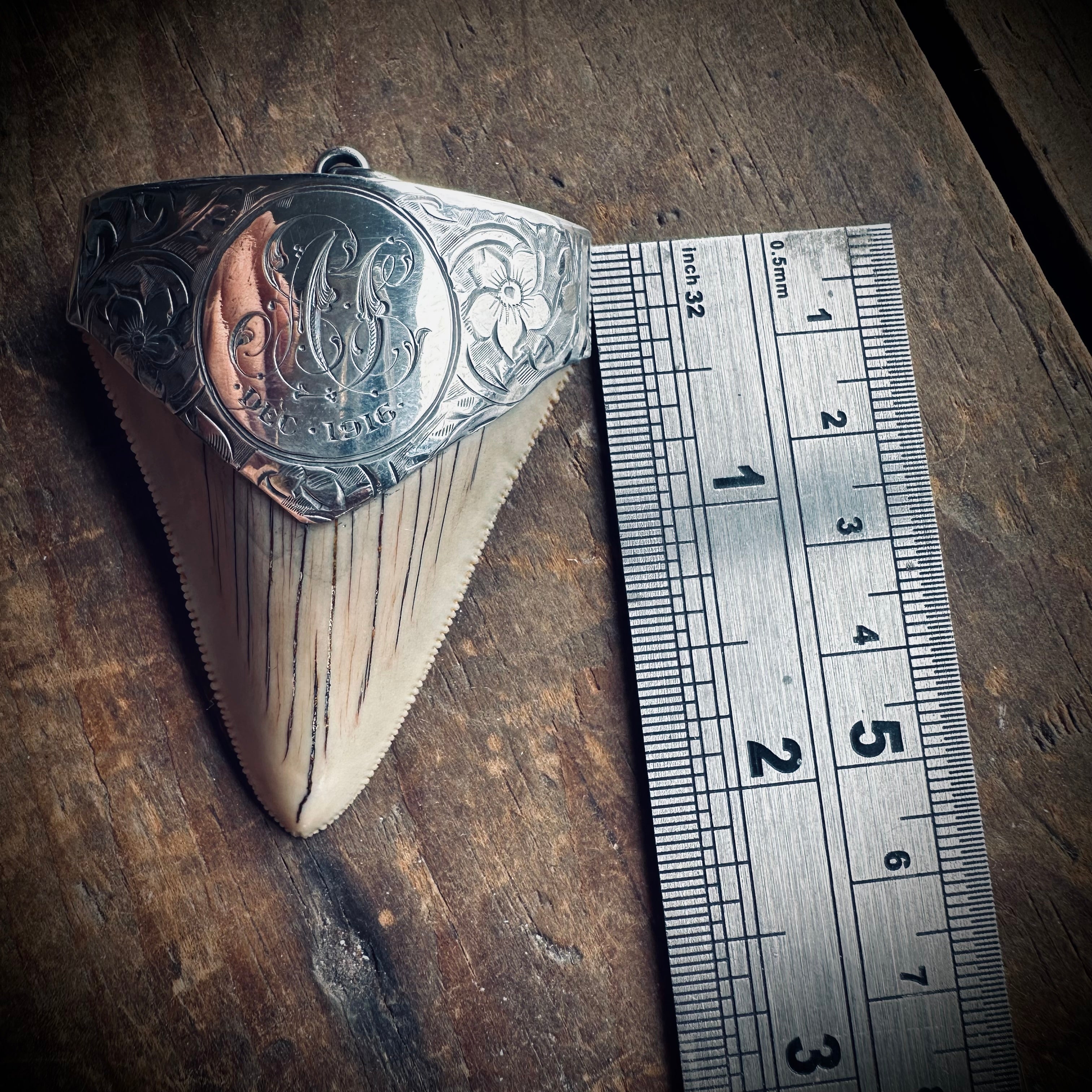 Large fossilised shark tooth pendant in hallmarked sterling silver