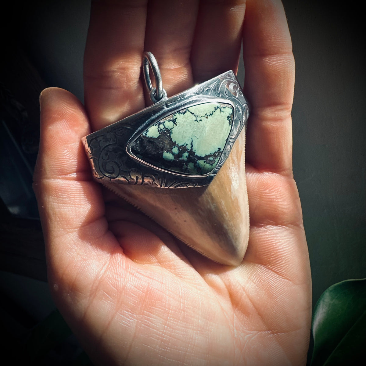 XL Sterling silver fossilised shark tooth pendant with turquoise