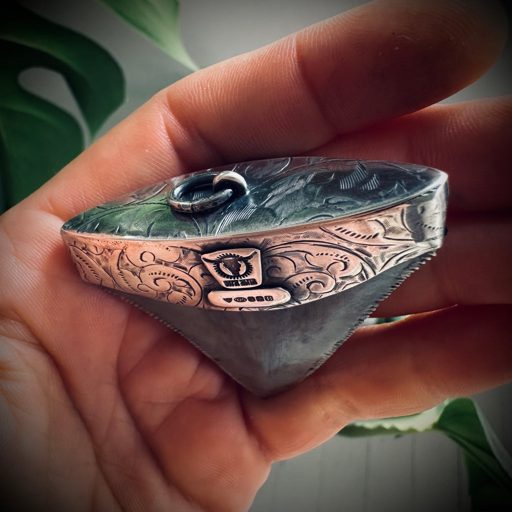 Large fossilised shark tooth pendant in hallmarked sterling silver with turquoise