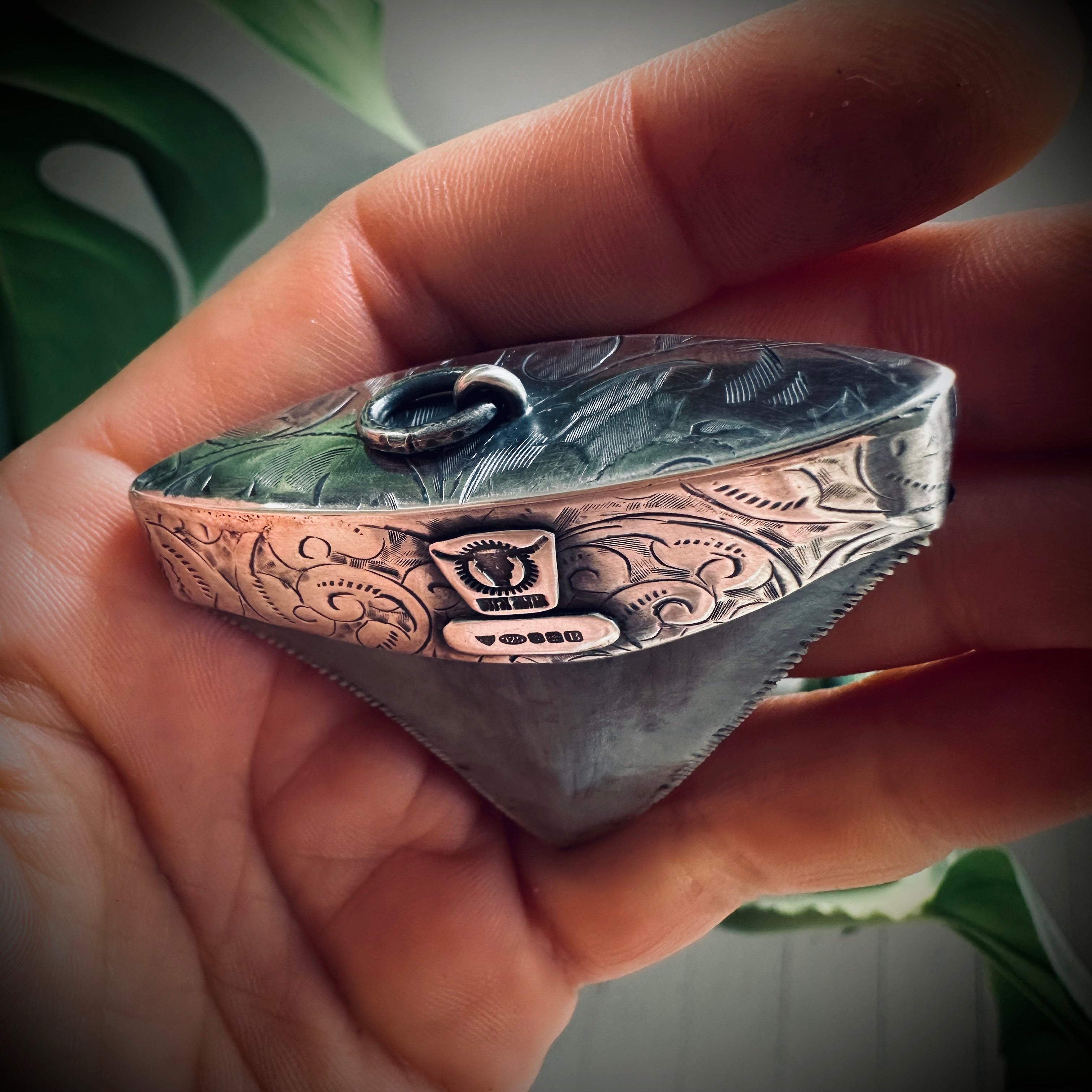 Large fossilised shark tooth pendant in hallmarked sterling silver with turquoise