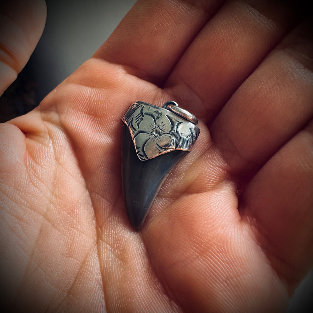 Fossilised shark tooth pendant in engraved hallmarked sterling silver