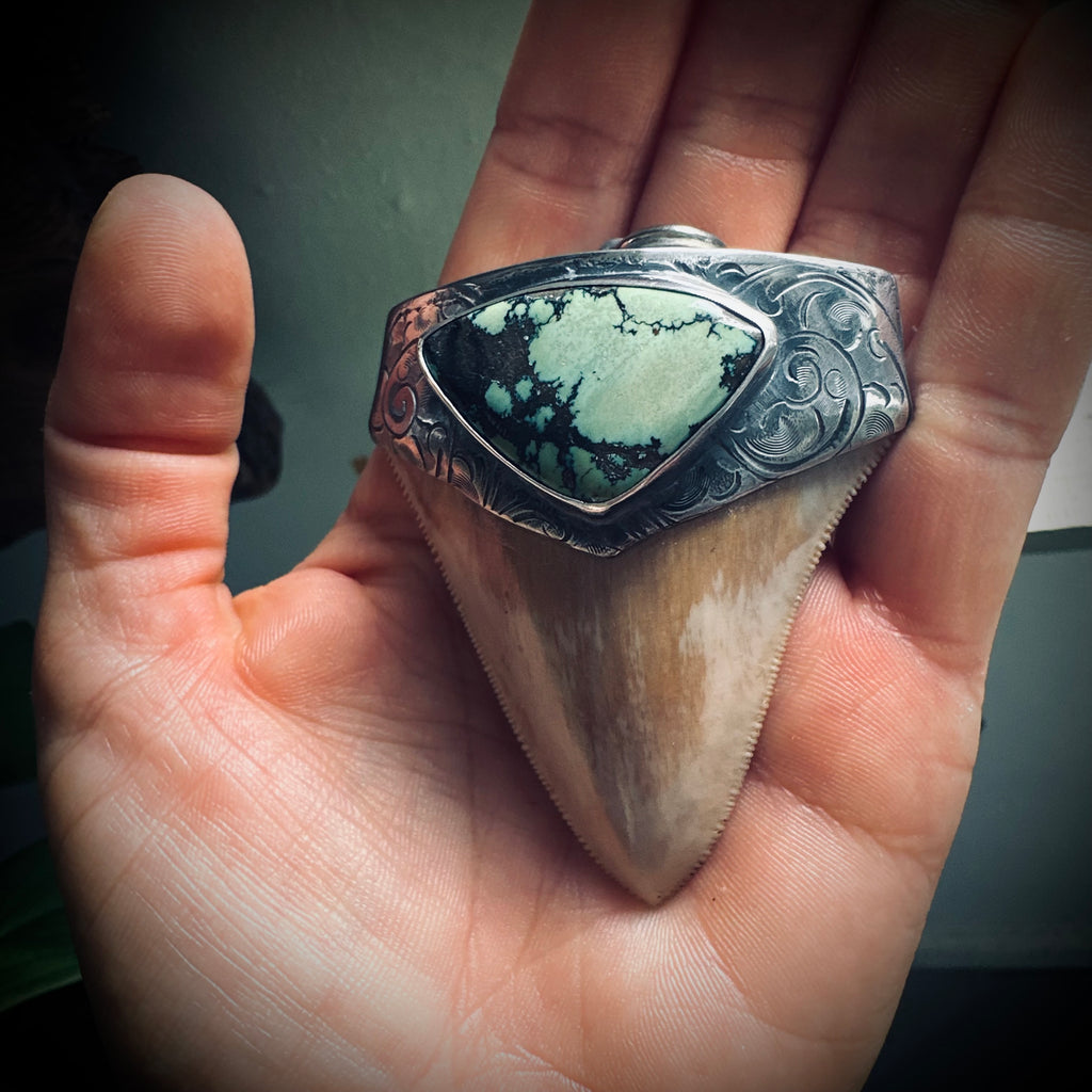 XL Sterling silver fossilised shark tooth pendant with turquoise