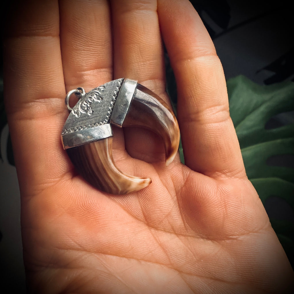 Double vintage carved shell “claw pendant” in sterling silver