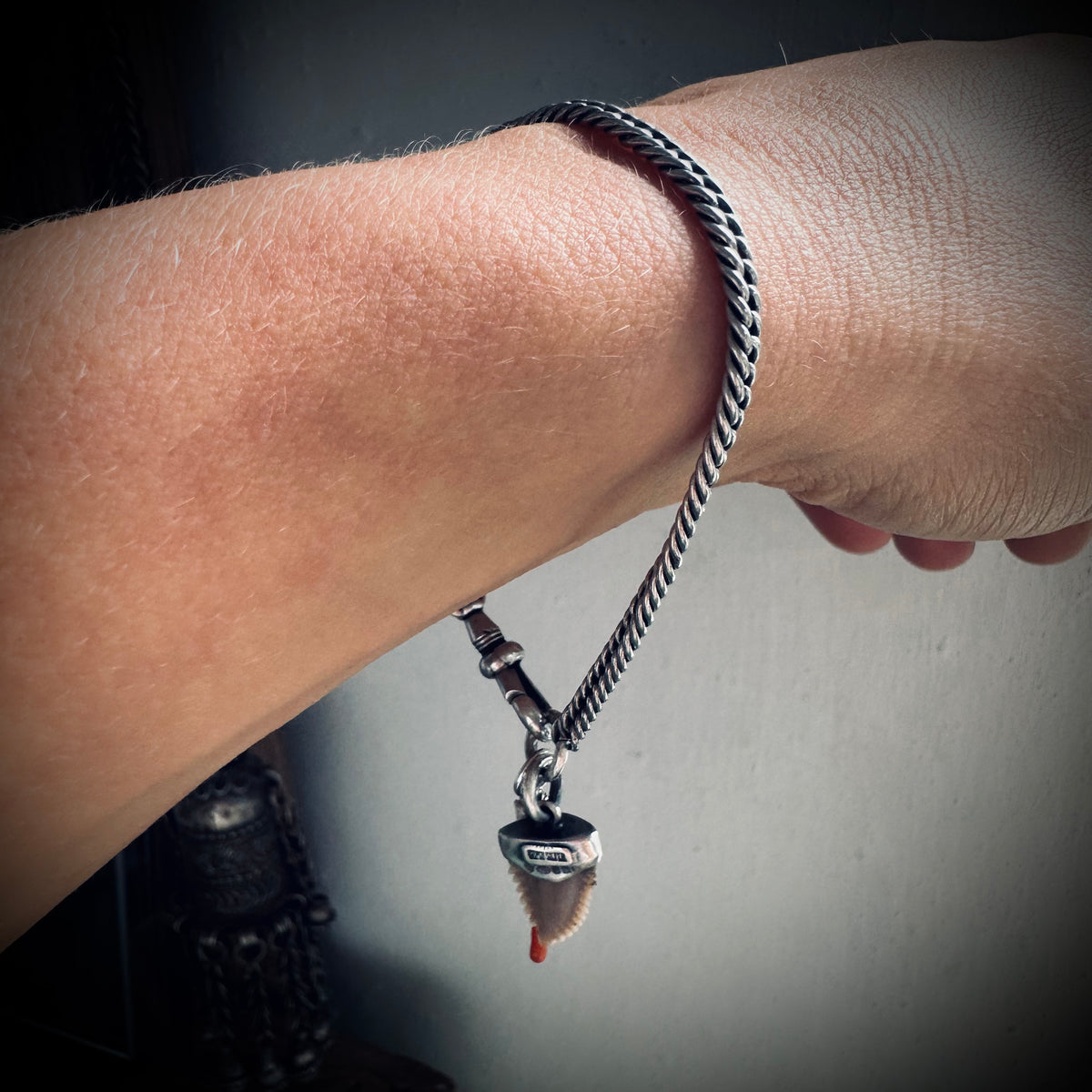 7” Antique sterling silver guard chain bracelet with Albert clip, fossil shark tooth and coral