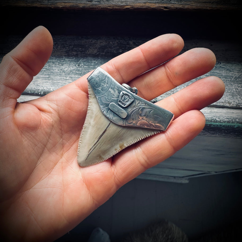 Sterling silver hallmarked fossil shark tooth pendant with turquoise
